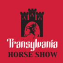 60 de calareti la Transylvania Horse Show