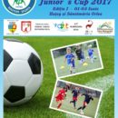 Tara Hategului Juniors Cup 2017